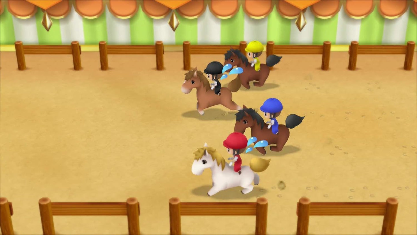 Story of Seasons: Friends of Mineral Town SW