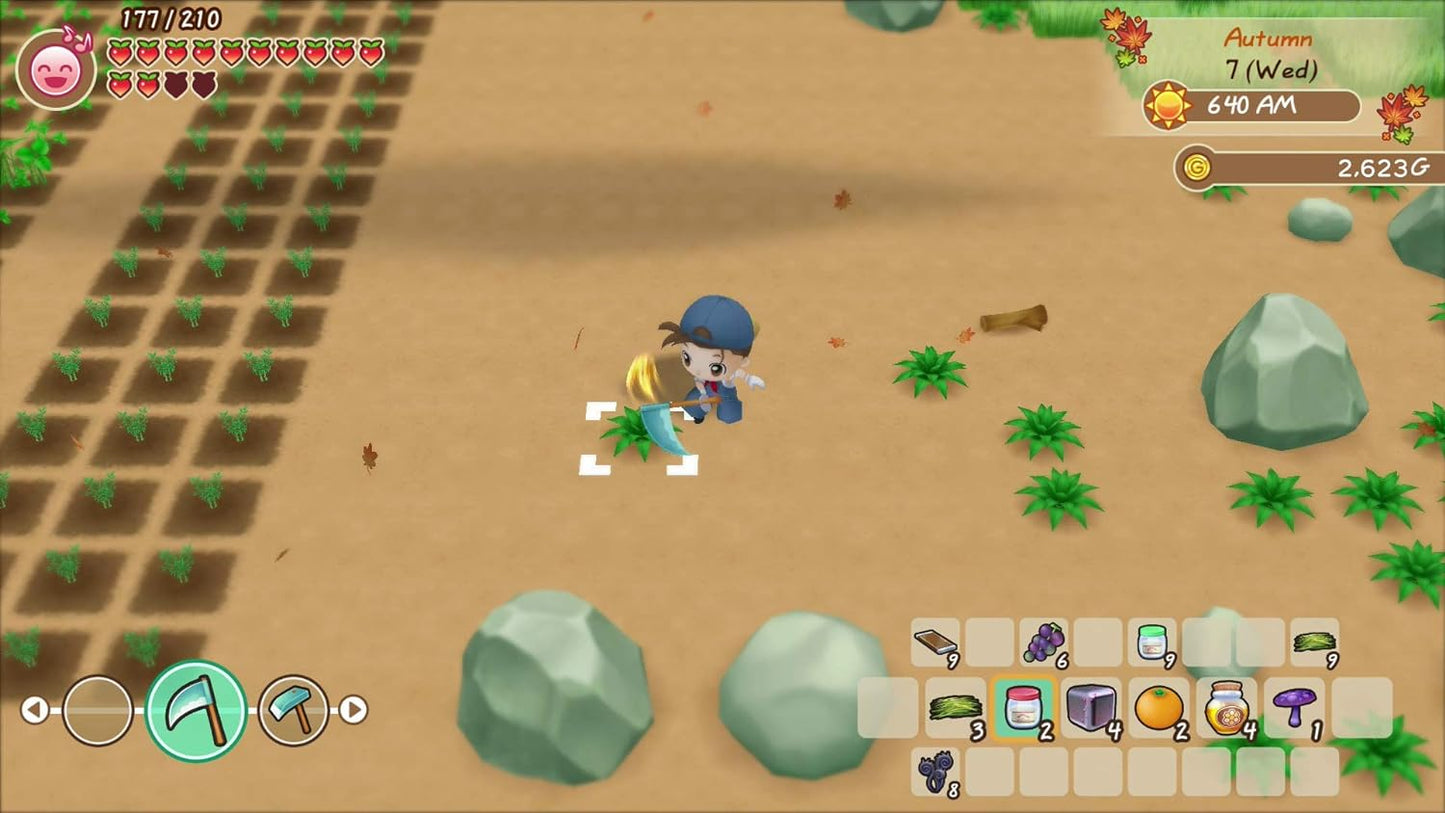 Story of Seasons: Friends of Mineral Town SW