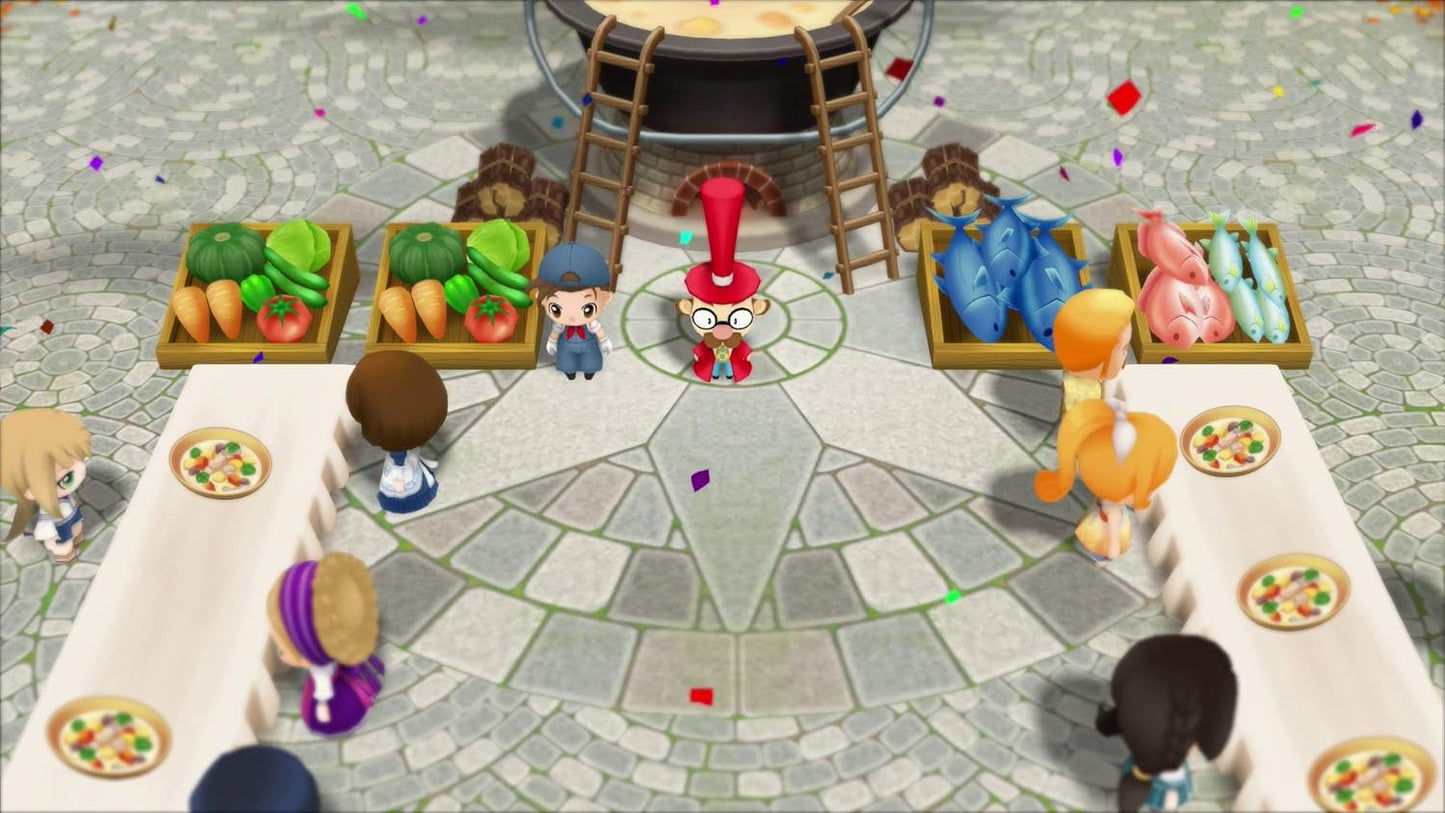 Story of Seasons: Friends of Mineral Town SW