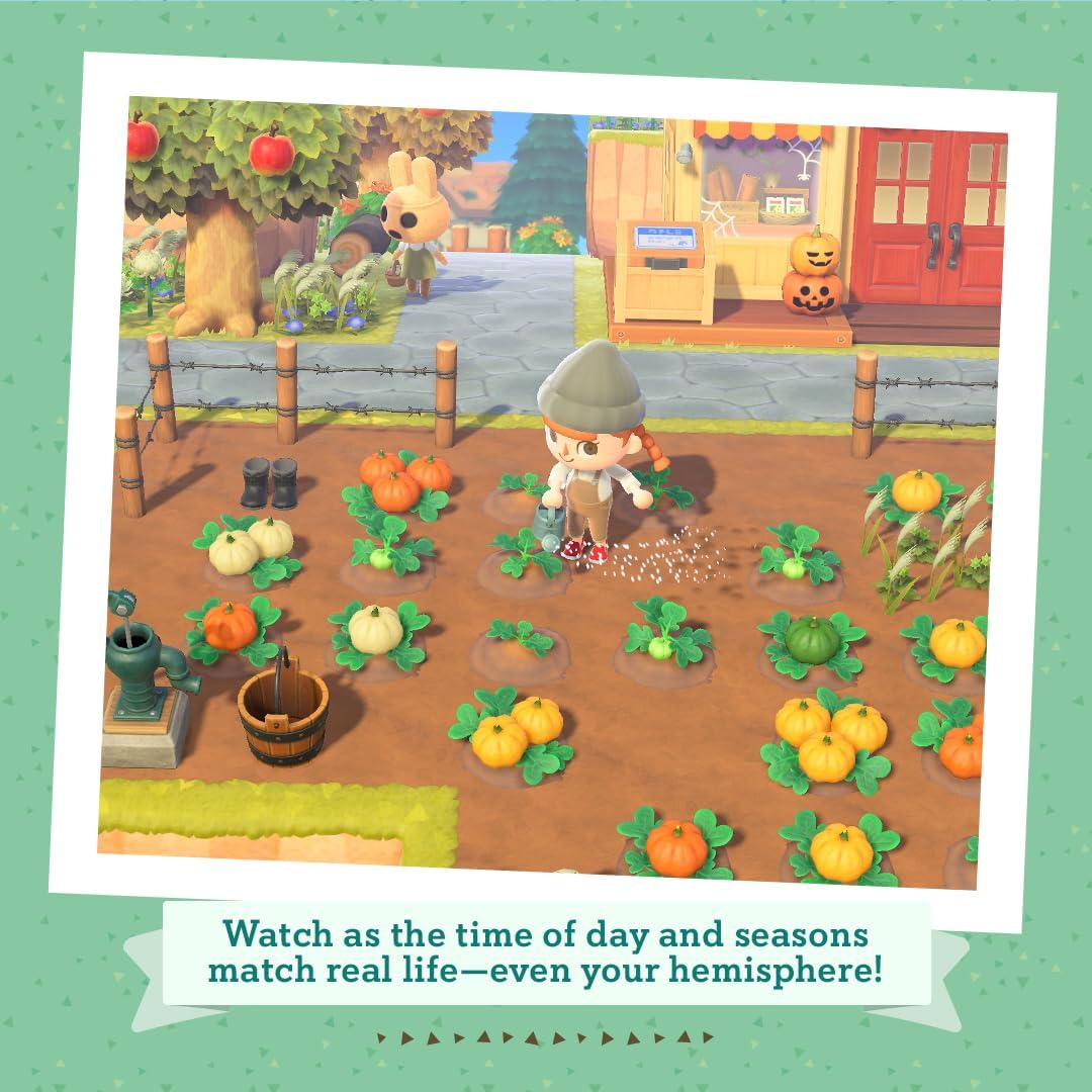 Animal Crossing: New Horizons SW